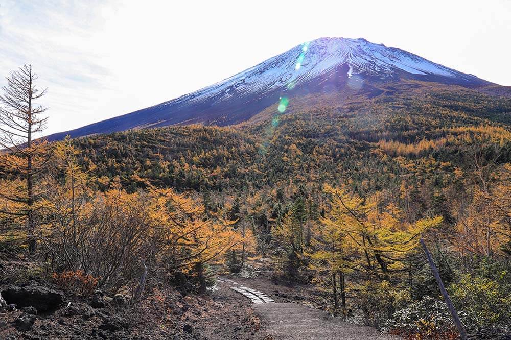 富士山5合目で紅葉狩り！自然が作り出した絶景を楽しもう！