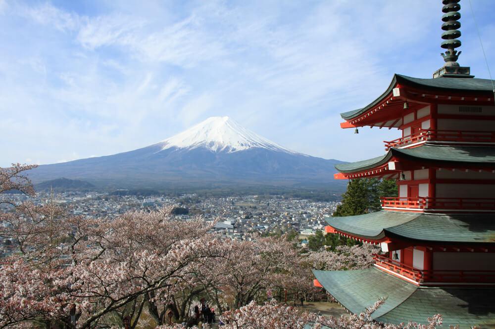 サクラ咲け！富士山周辺桜開花状況！【富士吉田編2019年版】