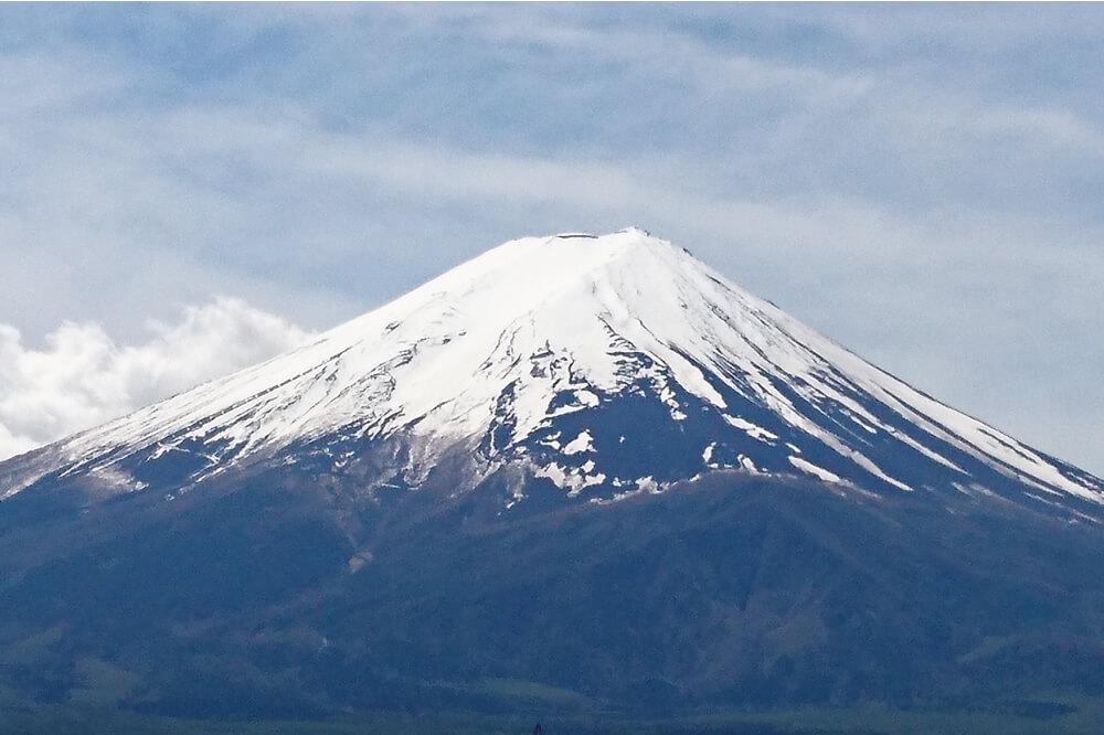 富士山の鳥「農鳥」ってどんな鳥？