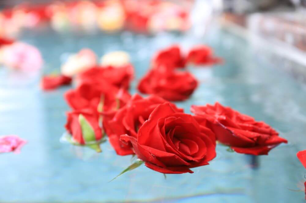 毎月26日はふろ（26）の日！7月はバラの湯で優雅なひと時を