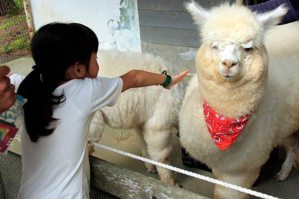 富士山河口湖エリア　9月のおススメイベント