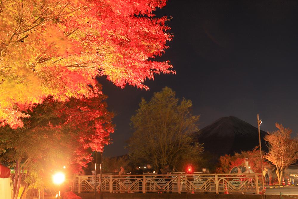富士五湖の秋のイベント【2024年9月~11月】