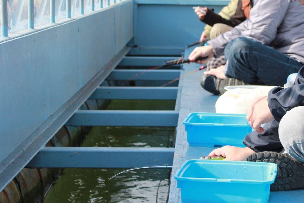 河口湖でワカサギ釣りを楽しもう!期間や料金、おすすめの釣り船は?