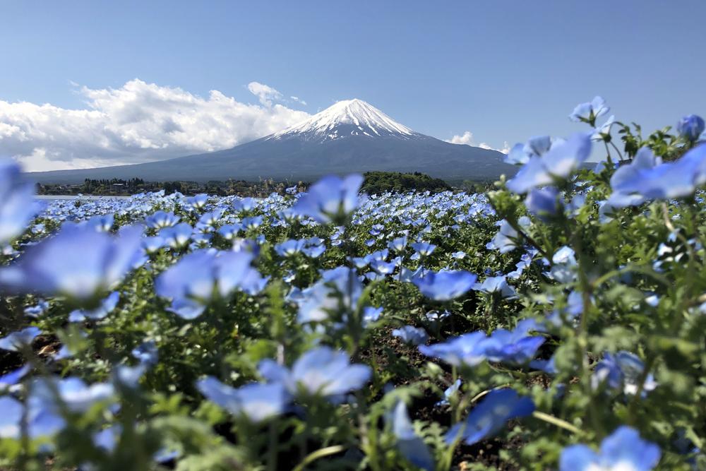 【5月】富士山周辺のおすすめの服装と写真ギャラリー