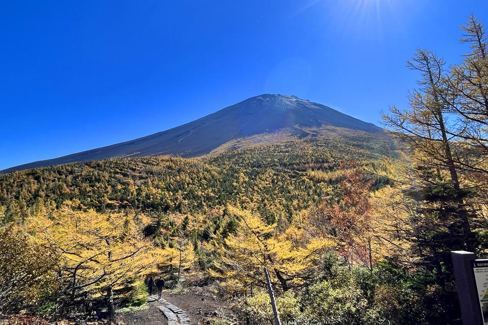 【10月】富士山周辺のおすすめの服装と写真ギャラリー