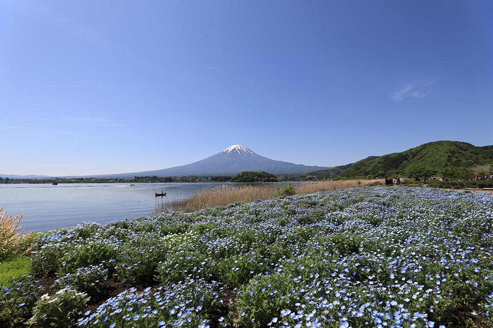 河口湖周辺の人気公園9選 子供連れや観光におすすめ