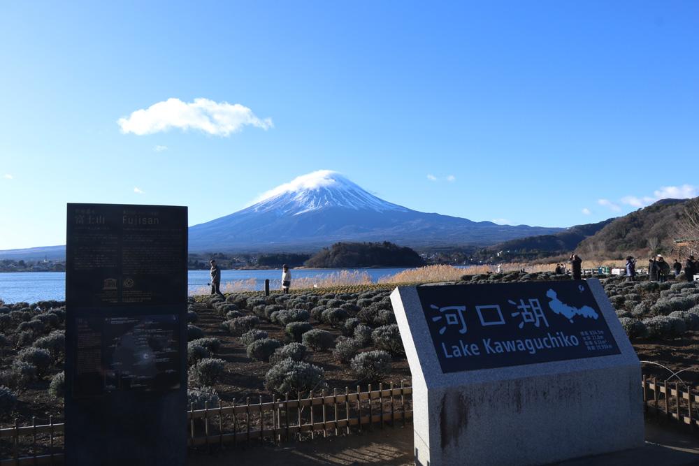 河口湖の日帰り観光を楽しむ! モデルコースとアクティビティ