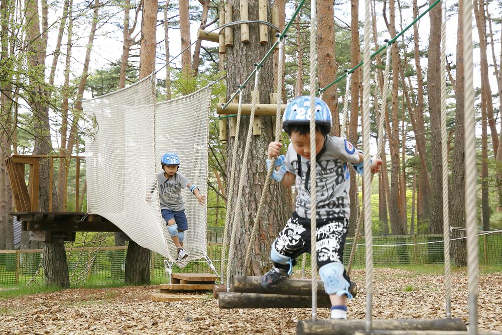 富士山周辺のおすすめアスレチック!1日中楽しめる施設を紹介
