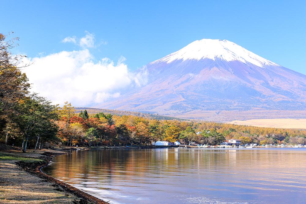 山中湖の紅葉の見頃はいつ?おすすめスポットや紅葉まつりも紹介