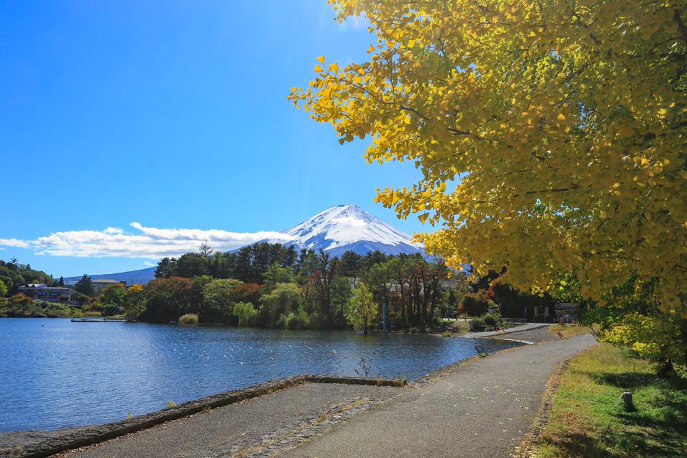 大池公園 – 四季折々の自然を満喫できる癒しのスポット