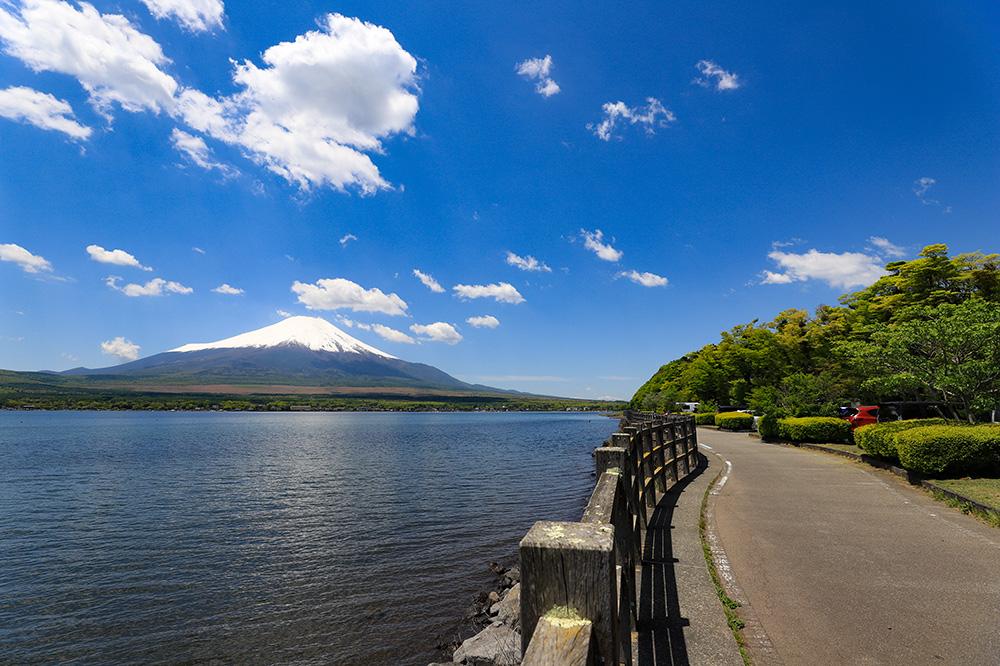 山中湖親水公園(長池親水公園)- 富士山の絶景が広がる公園