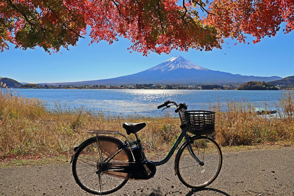 河口湖の紅葉をサイクリングで満喫！絶景スポットとおすすめコース