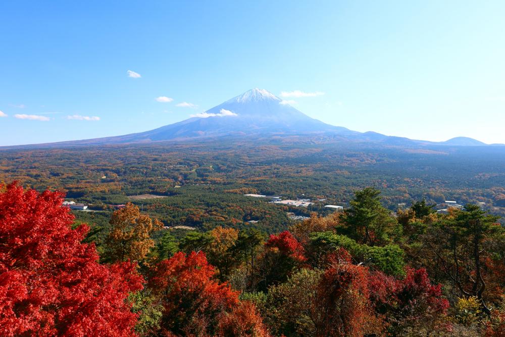 紅葉台 – 富士山や青木ヶ原樹海の絶景が広がる展望台
